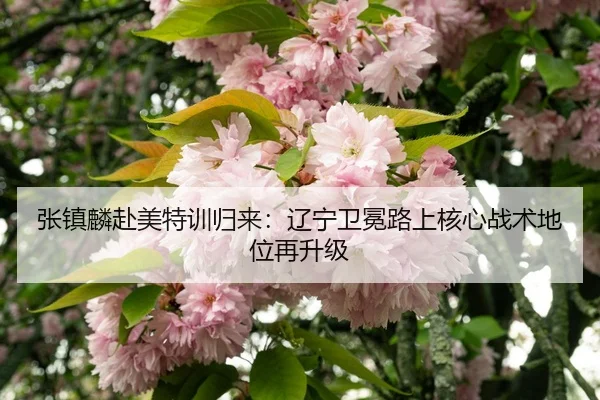 zhang-zhen-lin-fu-mei-te-xun-gui-lai-liao-ning-wei-mian-lu-shang-he-xin-zhan-shu-di-wei-zai-sheng-ji-3-761.jpg