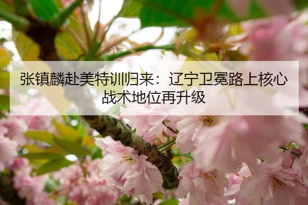张镇麟赴美特训归来：辽宁卫冕路上核心战术地位再升级