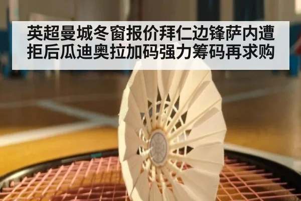 英超曼城冬窗报价拜仁边锋萨内遭拒后瓜迪奥拉加码强力筹码再求购
